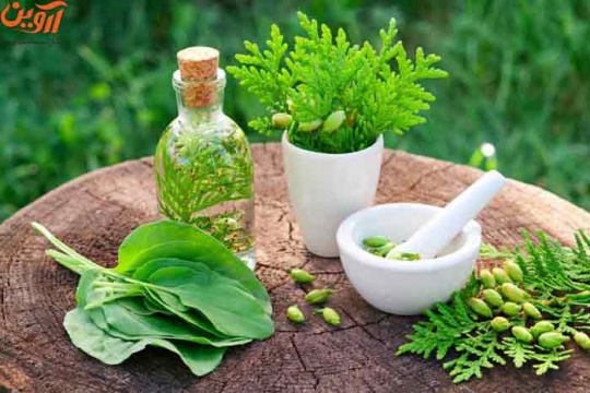 رتبه لازم برای قبولی گیاه پزشکی